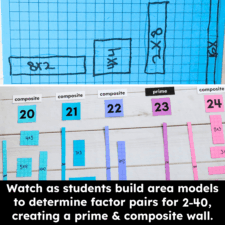 Prime and Composite Area Models