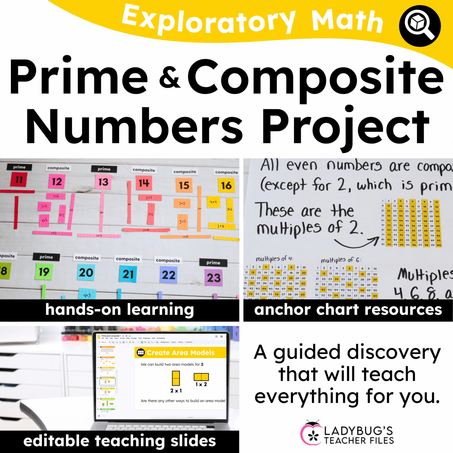 Prime and Composite Numbers Project