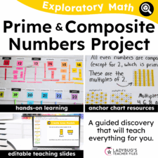 Prime and Composite Numbers Project Kit